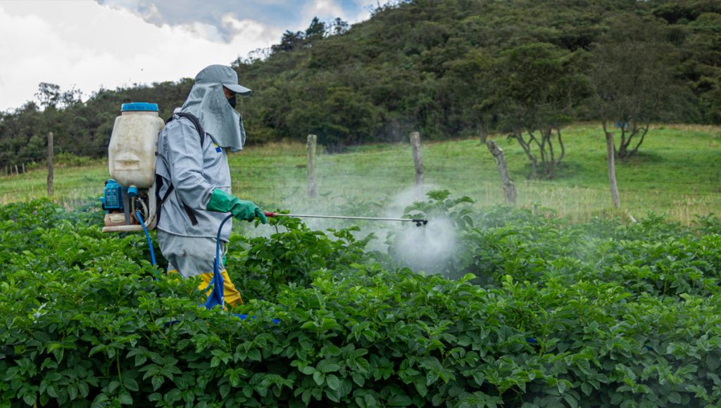 JSA Advises Omnivore in Farmley’s $40 Million Series C Funding Round Led by L Catterton
